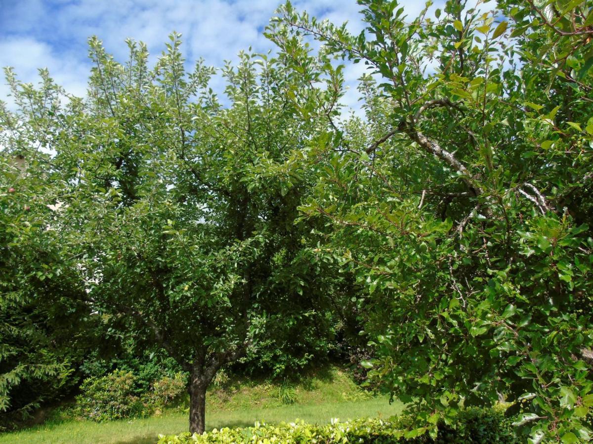 Maison L'Hirondelle Rustique A Tournavaux Zewnętrze zdjęcie
