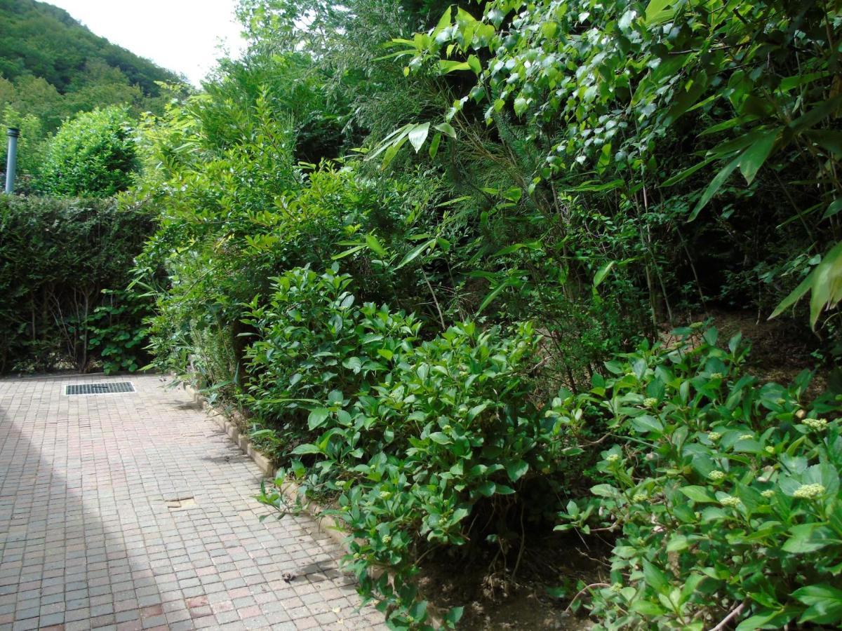 Maison L'Hirondelle Rustique A Tournavaux Zewnętrze zdjęcie