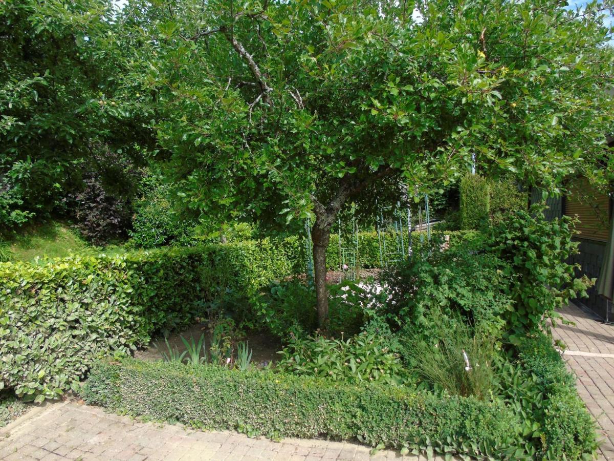 Maison L'Hirondelle Rustique A Tournavaux Zewnętrze zdjęcie