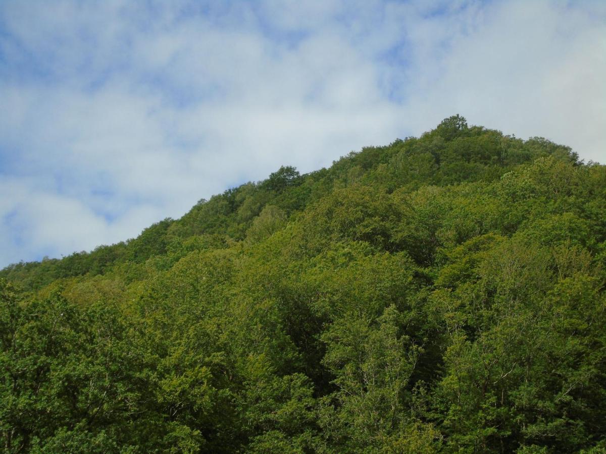 Maison L'Hirondelle Rustique A Tournavaux Zewnętrze zdjęcie